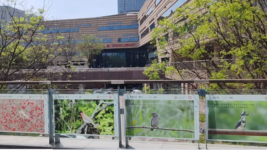 山西首个“防鸟撞科普宣传廊道”亮相长风商务区