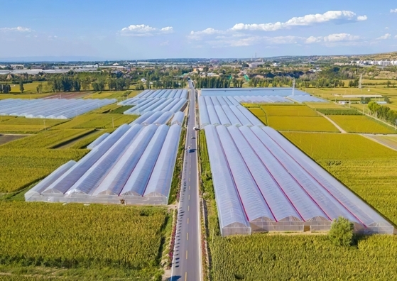 绘就“特”“优”乡村振兴新图景——晋中市全力建设全国一流农业创新高地