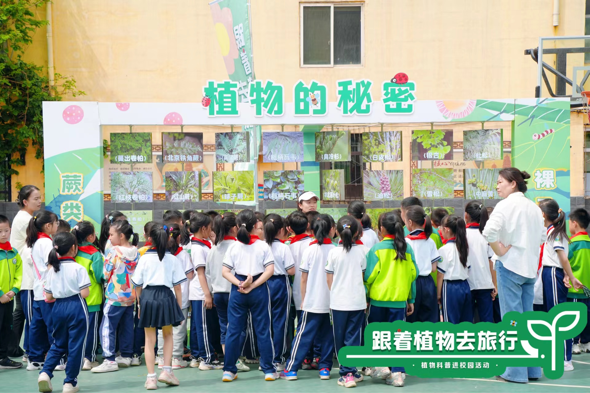 太原植物园：“跟着植物去旅行”受推崇