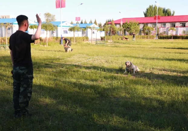 图片3.png 图片3.png