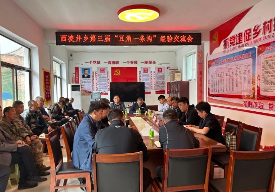 太原阳曲县西凌井乡召开第三届“豆角一条沟”经验交流会