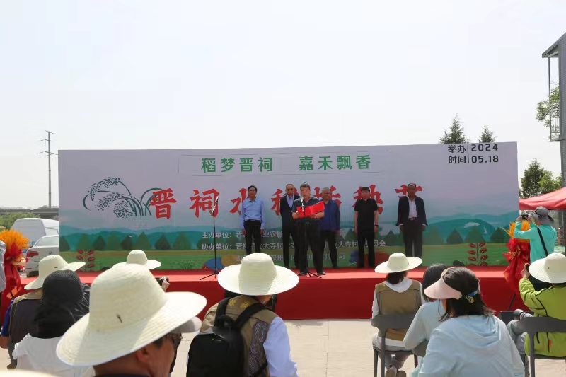 “稻梦晋祠  嘉禾飘香”太原晋祠水稻插秧节举行