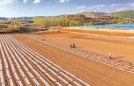 丰稔从田间走来——晋中市全力抓好春季农业生产保障粮食稳产增收
