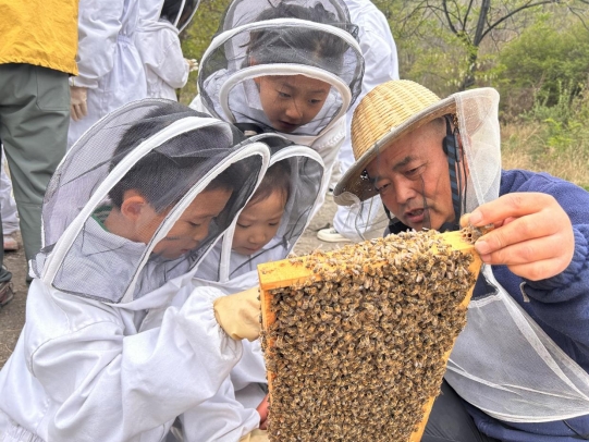 太原万柏林区长风西街街道：探“蜜”自然世界  助力快乐成长