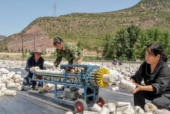 从“千万工程”经验中汲取乡村蝶变密码