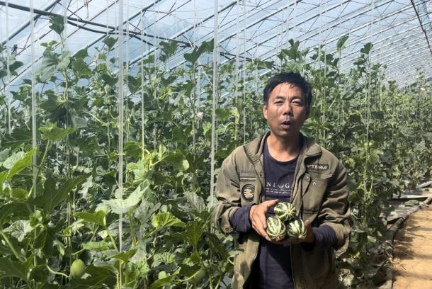 太原阳曲县侯村乡：常峪丰富“果篮子”，村民过上“甜日子”