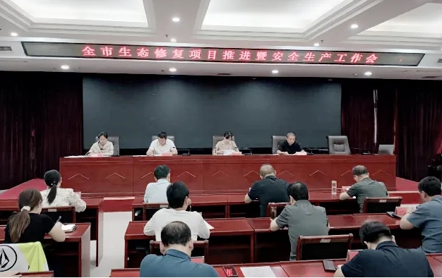 临汾市规划和自然资源局召开全市生态修复项目推进暨安全生产工作会议