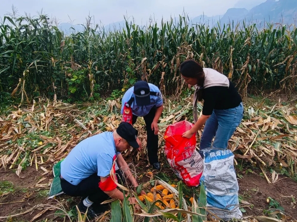 长治黎城公安：“藏蓝”护金秋，丰收好“警”色！