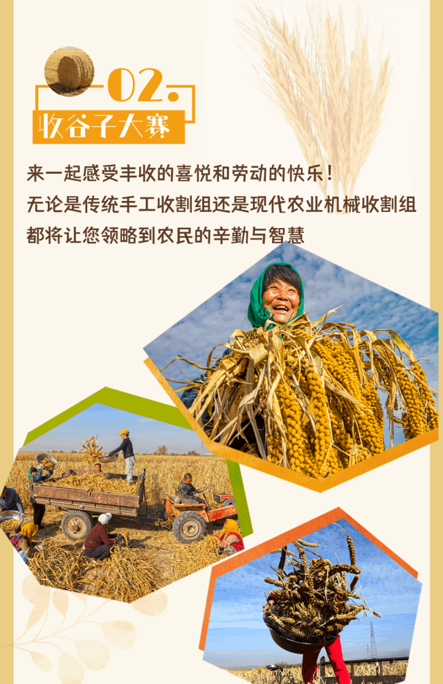 微信图片_20240929143425.png