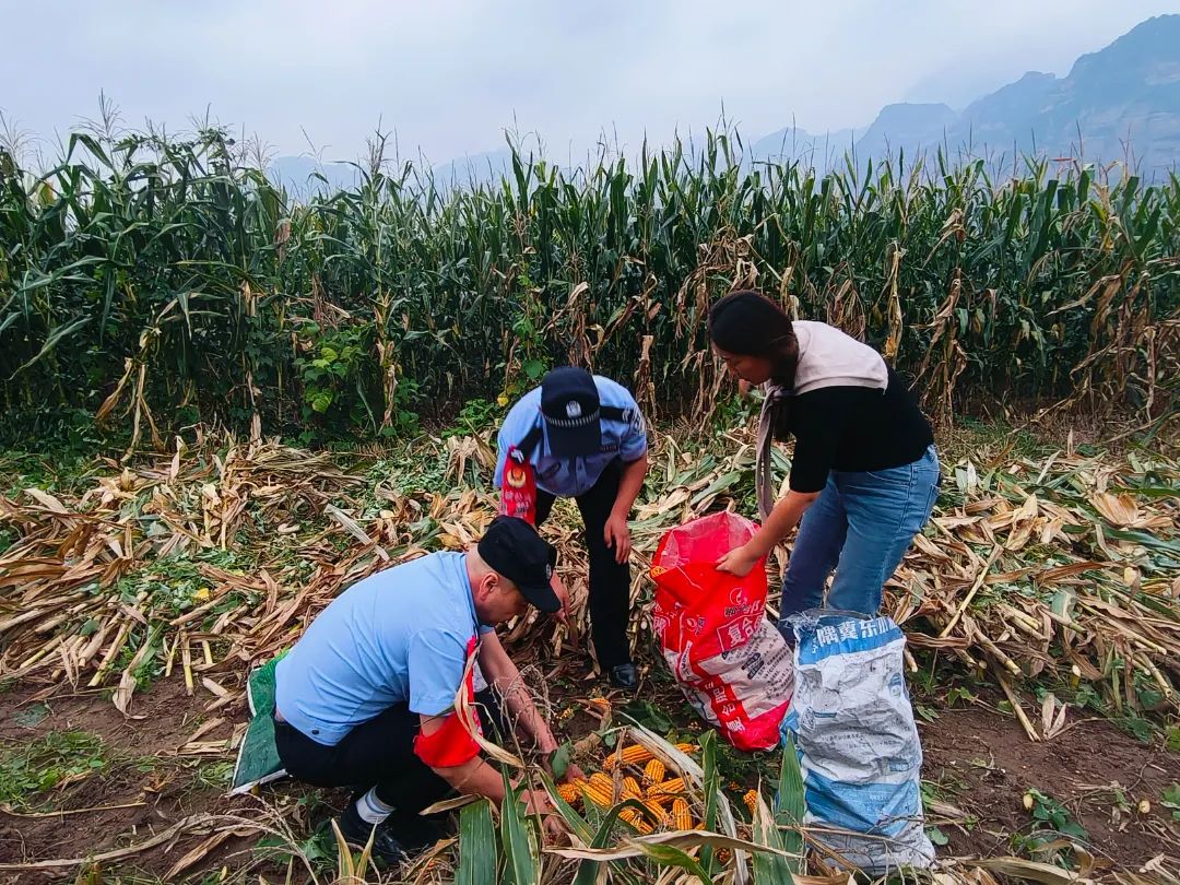 长治：“藏蓝”护金秋  丰收好“警”色！