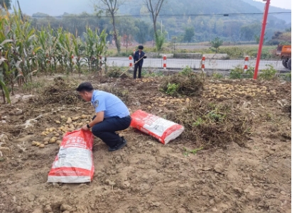 深耕“田间警务” 绘就丰收画卷——长治壶关公安为秋收季保驾护航