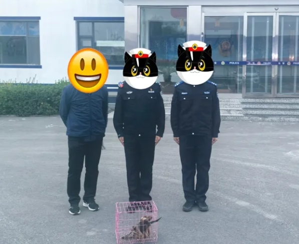 长治屯留：猛禽“落难” 警民携手暖心救助
