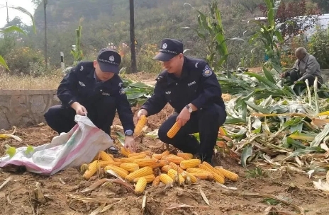 长治平顺：金秋中的“藏蓝警色”