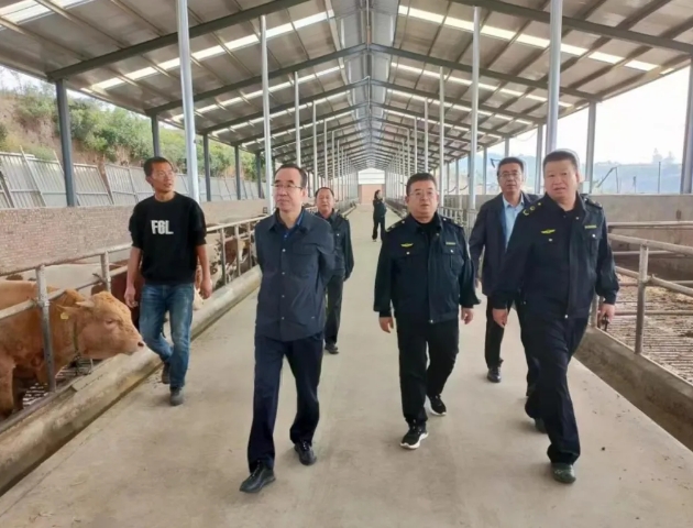 临汾市督导组检查古县严厉打击肉类产品违法犯罪专项整治工作