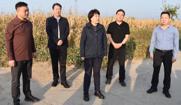 微信截图_20241016205744.png