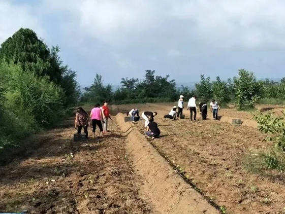 微信截图_20241021200012.png 微信截图_20241021200012.png