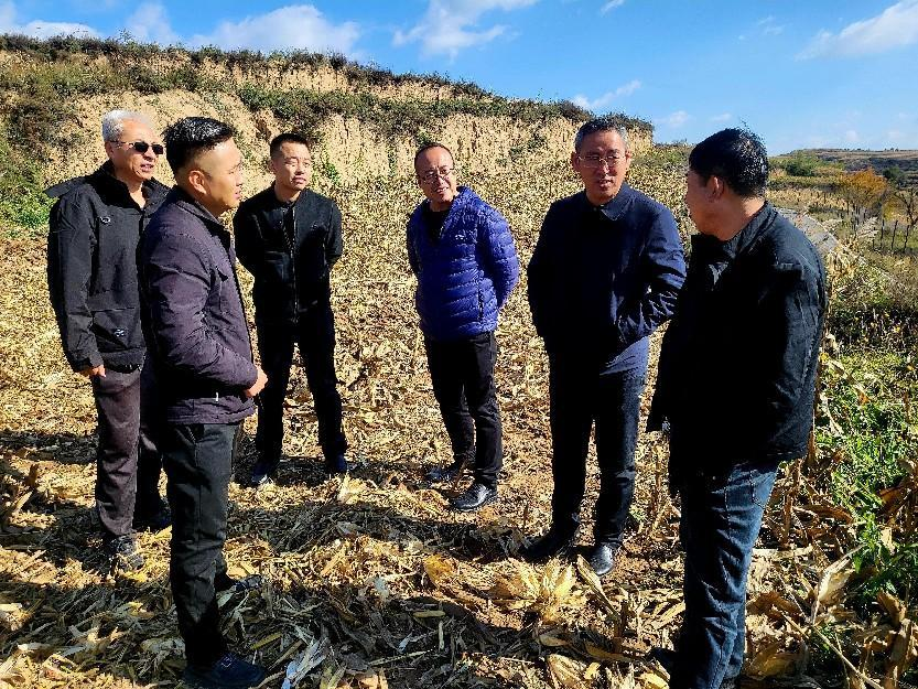太原万柏林区：稳步推进秋收工作  力保粮食丰产丰收