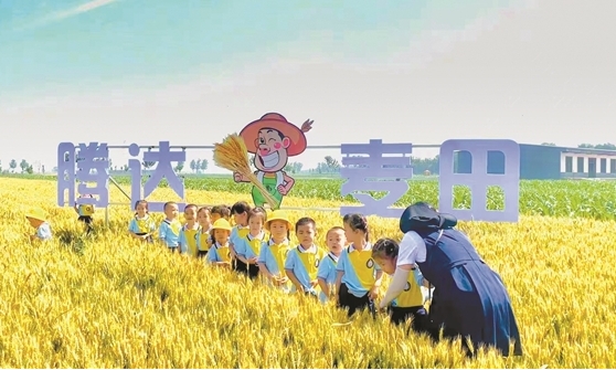 特色产业齐头进  业兴民富促振兴——晋中祁县古县镇东城村以产业融合“融”出富民兴