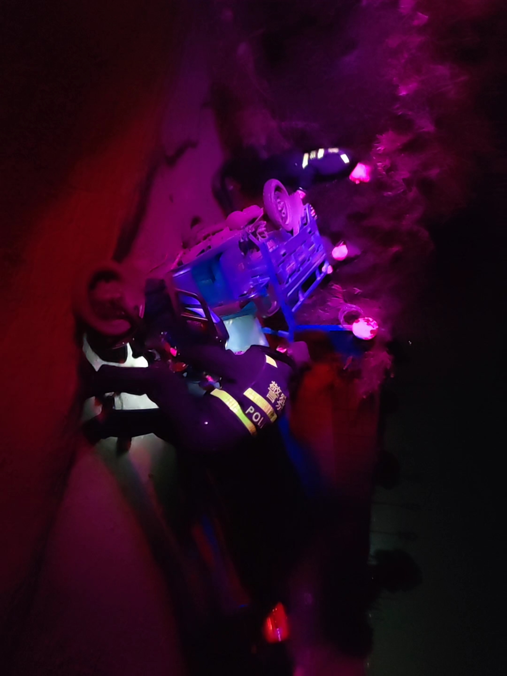 龙凤.jpg 龙凤.jpg