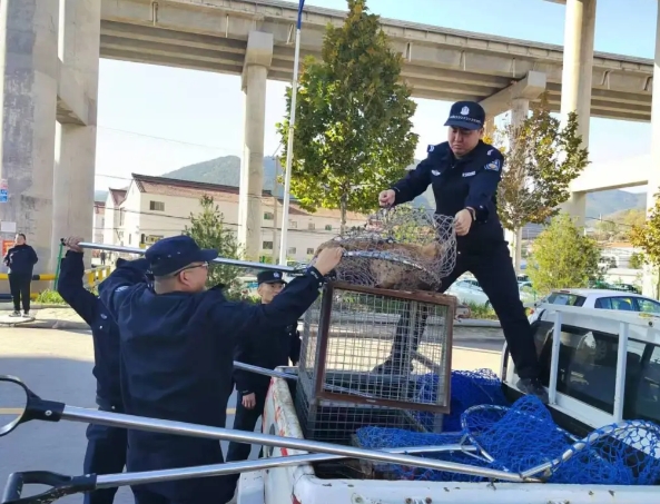 微信截图_20241030220627.png 微信截图_20241030220627.png