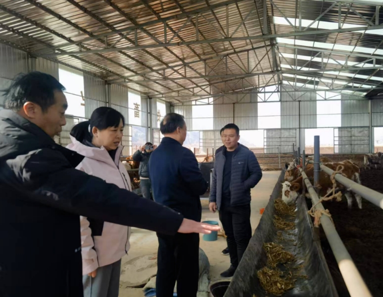 微信截图_20250124212106.png 微信截图_20250124212106.png