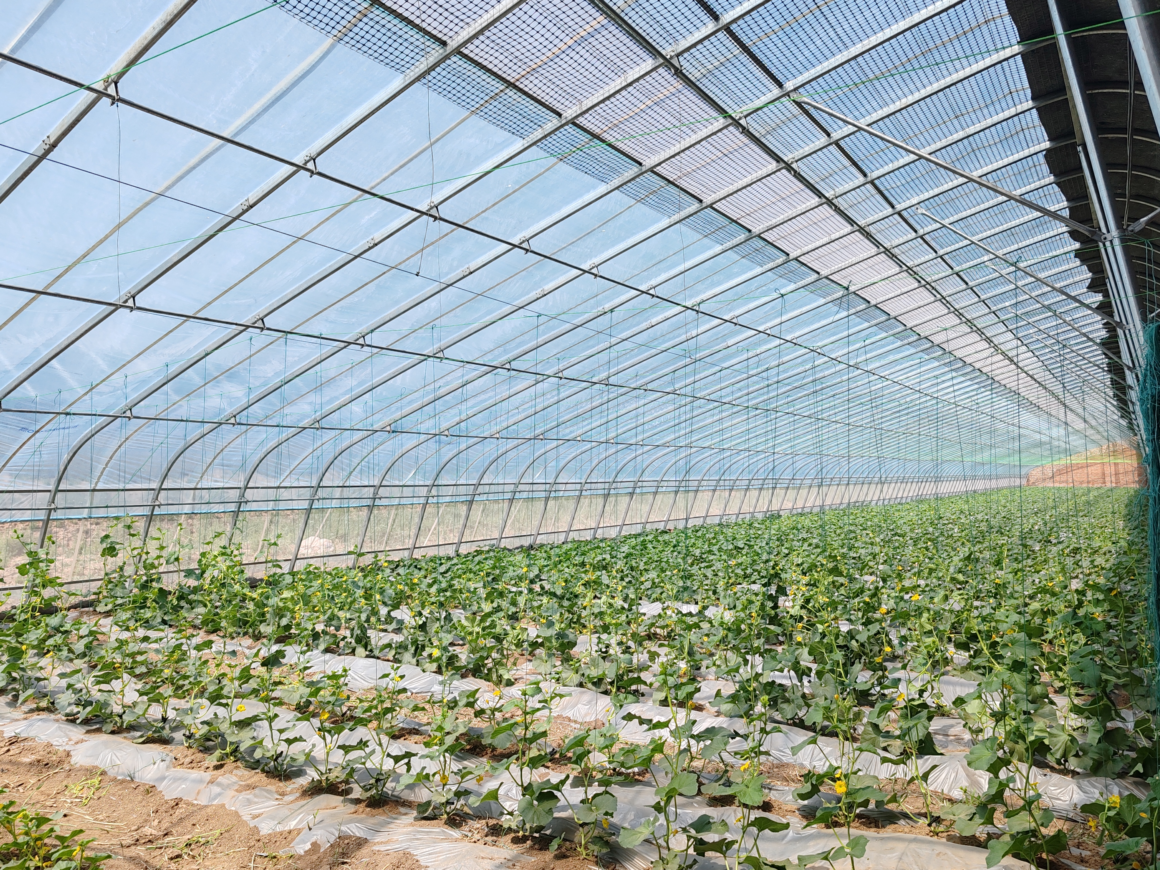 微信图片_20250516212021.jpg 微信图片_20250516212021.jpg