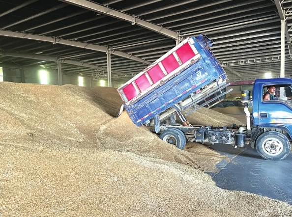 微信截图_20250619100923.png 微信截图_20250619100923.png