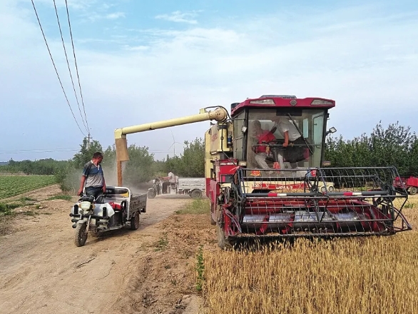 微信截图_20250619100914.png 微信截图_20250619100914.png