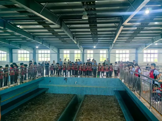 微信截图_20250624131936.png 微信截图_20250624131936.png