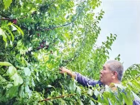 太原尖草坪区农文旅融合绘就乡村振兴新画卷