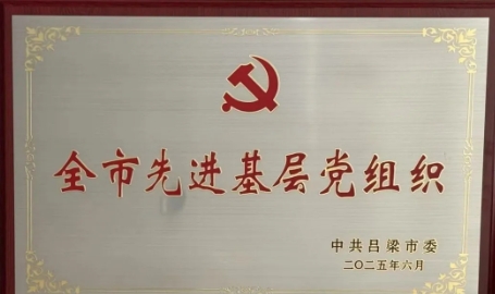 喜报！吕梁中阳县人民检察院党支部荣获“全市先进基层党组织”称号！