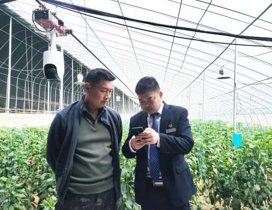 临汾曲沃农商银行：深耕“五篇大文章” 奏响特色产业腾飞强音