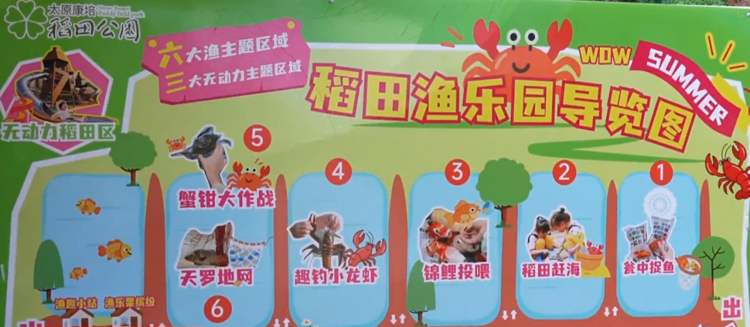 稻田“渔乐园”：晋享清凉游乐好去处