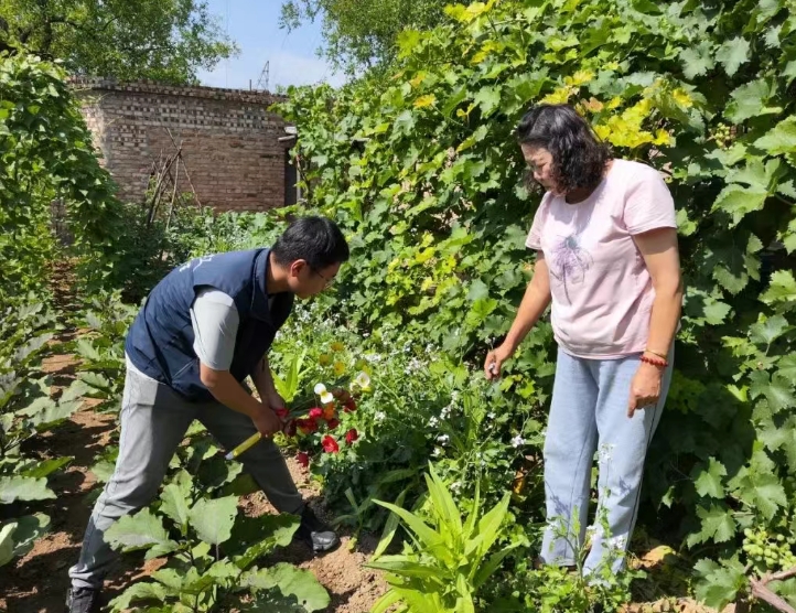 图片4.png 图片4.png