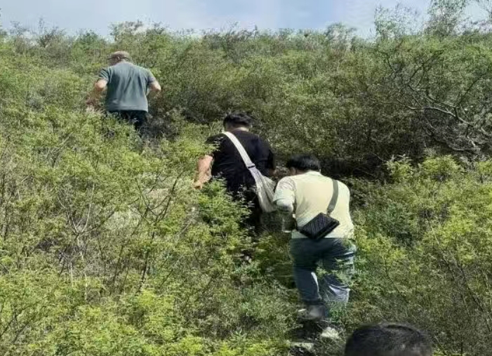 摸清资源“家底”，太原尖草坪区文旅发展添动能