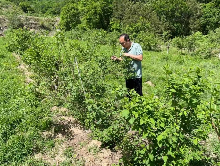 微信截图_20250715184102.png 微信截图_20250715184102.png