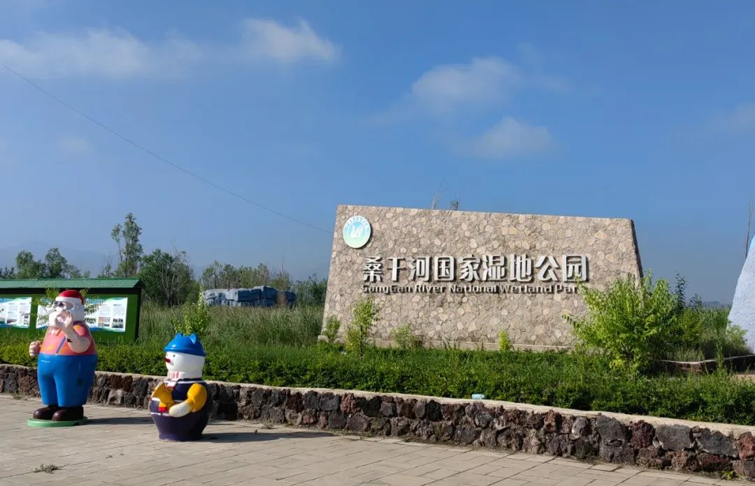 山西山阴桑干河国家湿地公园：重塑绿水青山  共绘生态画卷