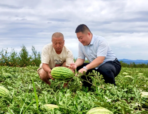 临汾吉县农商银行：用金融“活水”浇灌“甜蜜产业”