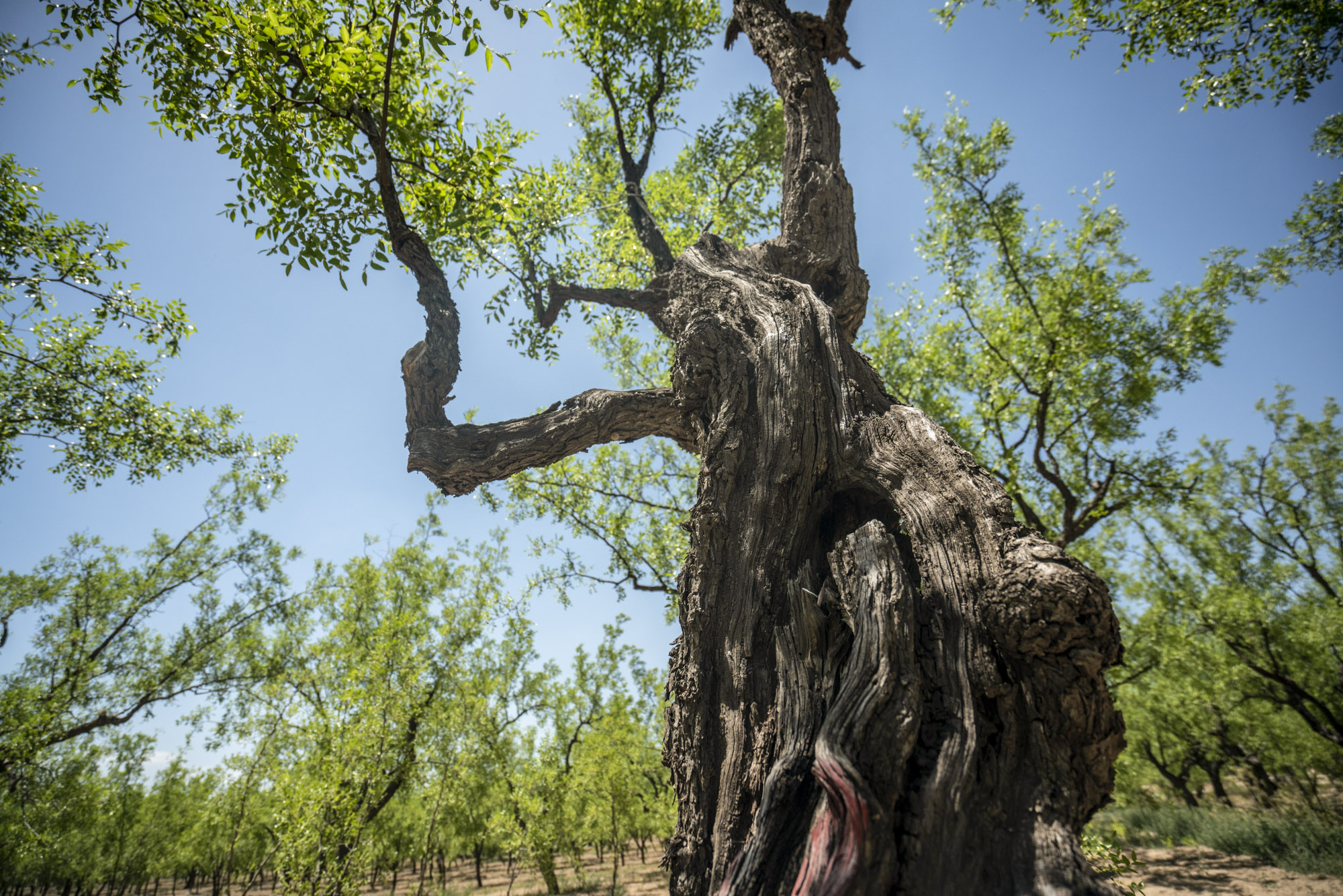 微信图片_20250718232120.jpg 微信图片_20250718232120.jpg