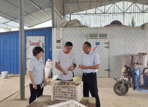 临汾古县农商银行：金融活水润沃土，精准服务助振兴