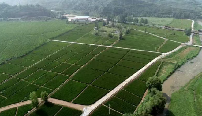 山西寿阳段廷村：改革赋能，绘就乡村振兴新画卷