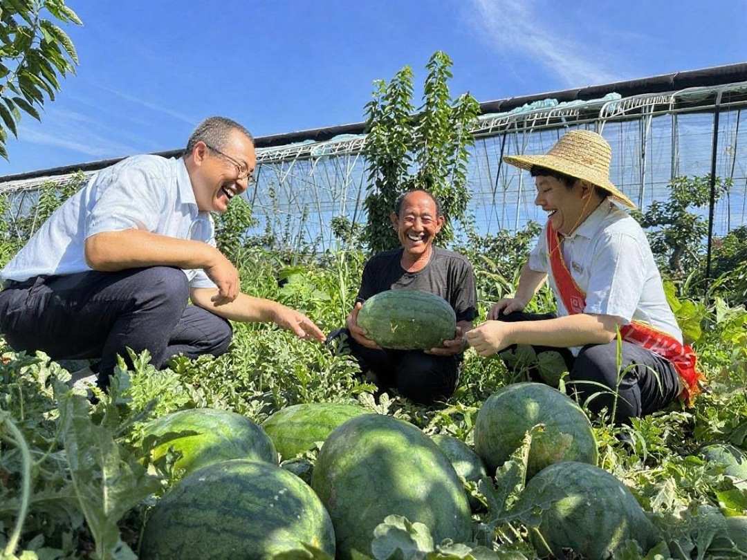 临汾曲沃农商银行“三个一”模式，赋能果农丰收梦