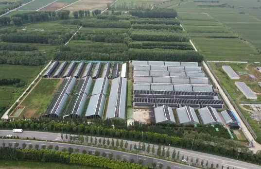 揭秘太原尖草坪区向阳镇中下温村的乡村振兴密码