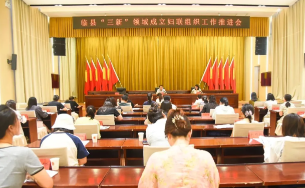 吕梁临县召开“三新”领域成立妇联组织工作推进会
