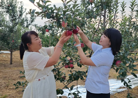 临汾吉县农商银行：背包服务到田间，三真三送解三难