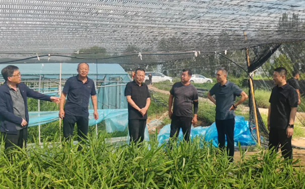 临汾：栗俊昌深入襄汾县、曲沃县调研蔬菜生产情况