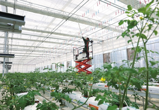 学习贯彻晋中市委五届十次全会精神系列报道之三：因地制宜谋多元转型发展开新局——深