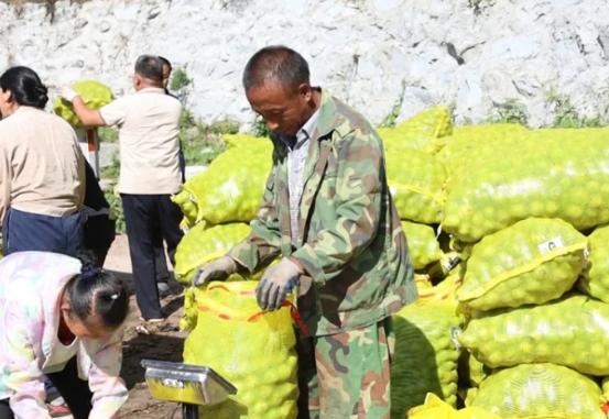 晋中昔阳：“金果”盈枝富农家