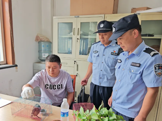 长治：警民携手救助猫头鹰幼崽