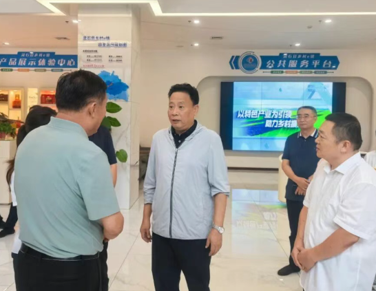 晋中灵石县委书记韩军在翠峰镇调研